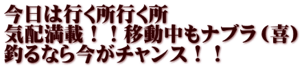 今日は行く所行く所 気配満載！！移動中もナブラ（喜） 釣るなら今がチャンス！！