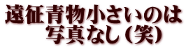 遠征青物小さいのは 　　写真なし（笑）