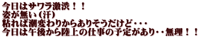 今日はサワラ激渋！！ 姿が無い（汗） 粘れば潮変わりからありそうだけど・・・ 今日は午後から陸上の仕事の予定があり・・無理！！ 