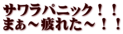 サワラパニック！！ まぁ～疲れた～！！