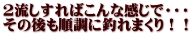 2流しすればこんな感じで・・・ その後も順調に釣れまくり！！