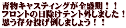 青物キャスティングが全盛期！！ フロントの日除けテント外しました！ 思う存分投げ倒しましょう！！