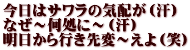 今日はサワラの気配が（汗） なぜ～何処に～（汗） 明日から行き先変～えよ（笑）