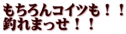 もちろんコイツも！！ 釣れまっせ！！