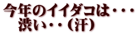 今年のイイダコは・・・ 　渋い・・（汗）