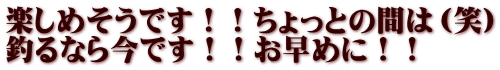 楽しめそうです！！ちょっとの間は（笑） 釣るなら今です！！お早めに！！