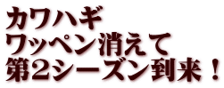 カワハギ ワッペン消えて 第2シーズン到来！