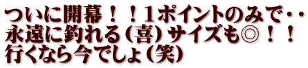 ついに開幕！！1ポイントのみで・・ 永遠に釣れる（喜）サイズも◎！！ 行くなら今でしょ（笑）