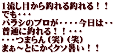 1流し目から釣れる釣れる！！ でも・・・ バラシのプロが・・・・今日は・・ 普通に釣れる！！・・・ ・・・つまらん（笑）（笑） まぁ～とにかくクソ暑い！！