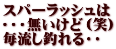 スパーラッシュは ・・・無いけど（笑） 毎流し釣れる・・