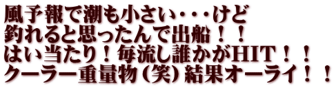 風予報で潮も小さい・・・けど 釣れると思ったんで出船！！ はい当たり！毎流し誰かがHIT！！ クーラー重量物（笑）結果オーライ！！