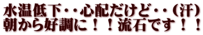 水温低下・・心配だけど・・（汗） 朝から好調に！！流石です！！