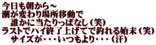 今日も朝から～ 潮が変わり場所移動で 　誰かに当たりっぱなし（笑） ラストでハイ終了上げてで釣れる始末（笑） 　サイズが・・・いつもより・・・（汗） 