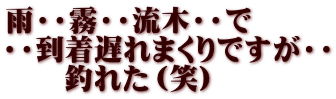 雨・・霧・・流木・・で ・・到着遅れまくりですが・・ 　　釣れた（笑）