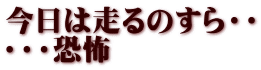 今日は走るのすら・・ ・・・恐怖