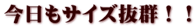 今日もサイズ抜群！！