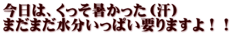 今日は、くっそ暑かった（汗） まだまだ水分いっぱい要りますよ！！