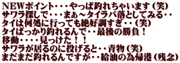 NEWポイント・・・やっぱ釣れちゃいます（笑） サワラ探しで・・・まぁ～タイラバ落としてみる・・ タイは何処に行っても絶好調すぎ・・（笑） タイばっかり釣れるんで・・最後の勝負！ 移動・・・・見っけた！！ サワラが居るのに投げると・・青物（笑） まだまだ釣れるんですが・・給油の為帰港（残念） 
