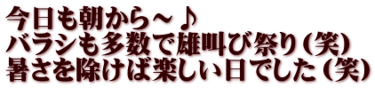 今日も朝から～♪ バラシも多数で雄叫び祭り（笑） 暑さを除けば楽しい日でした（笑）