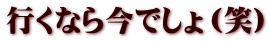 行くなら今でしょ（笑）