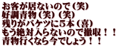 お客が居ないので（笑） 好調青物（笑）（笑） 残りがバケツに5本（喜） もう絶対入らないので撤収！！ 青物行くなら今でしょう！！