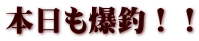 本日も爆釣！！