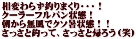 相変わらず釣りまくり・・・！ クーラーフルパン状態！ 朝から無風でクソ暑状態！！ さっさと釣って、さっさと帰ろう（笑）