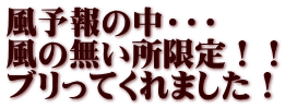 風予報の中・・・ 風の無い所限定！！ ブリってくれました！