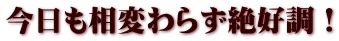今日も相変わらず絶好調！