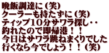 晩飯調達に（笑） クーラーも持たずに（笑） ティップ10分サワラ探し・・ 釣れたので即帰港！！ 今日はサワラ跳ねまくりでした 行くなら今でしょう！！（笑）