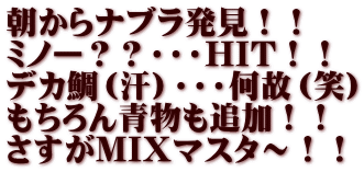 朝からナブラ発見！！ ミノー？？・・・HIT！！ デカ鯛（汗）・・・何故（笑） もちろん青物も追加！！ さすがMIXマスタ～！！