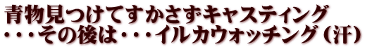青物見つけてすかさずキャスティング ・・・その後は・・・イルカウォッチング（汗）