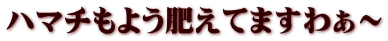 ハマチもよう肥えてますわぁ～
