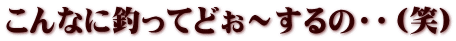 こんなに釣ってどぉ～するの・・（笑）